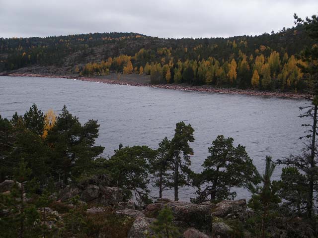 Laubf�rbung am Fjord