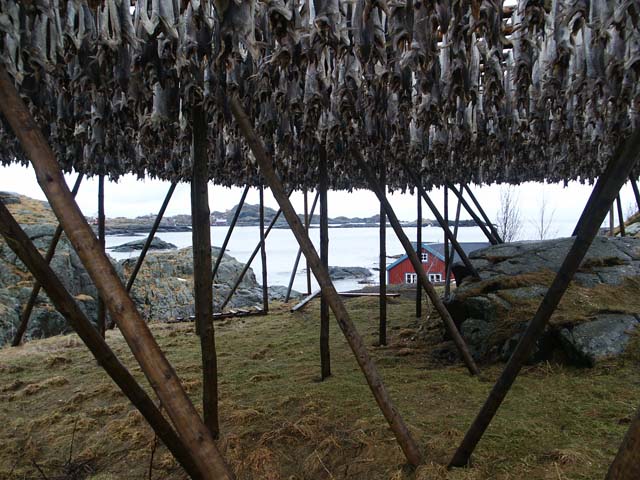 Stockfish all over in ï¿½