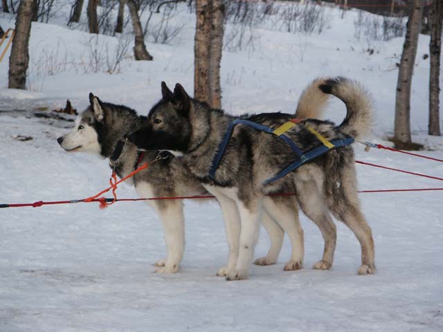 Next morning: ready to go