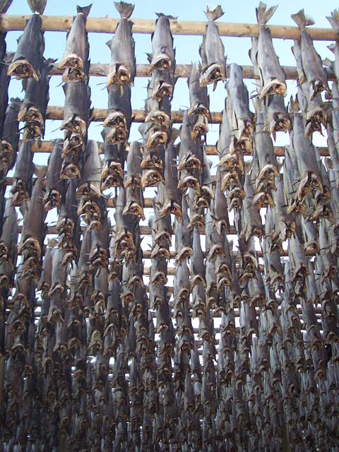 Stockfish = dried cod